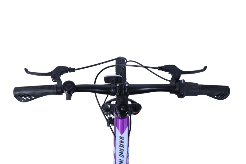 BICICLETA TOTEM MTB ARO 24 SAILING NOVA  COLOR MORADO - 3