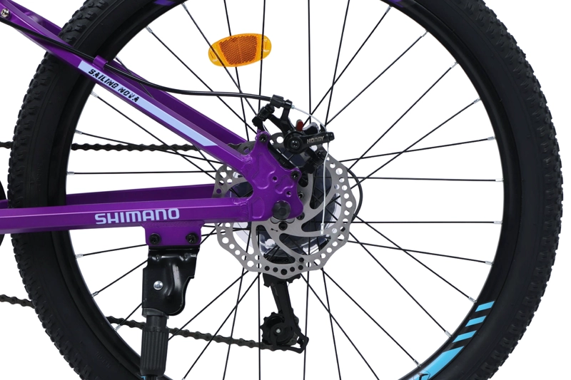 BICICLETA TOTEM MTB ARO 24 SAILING NOVA  COLOR MORADO - 5