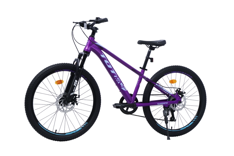 BICICLETA TOTEM MTB ARO 24 SAILING NOVA  COLOR MORADO - 6
