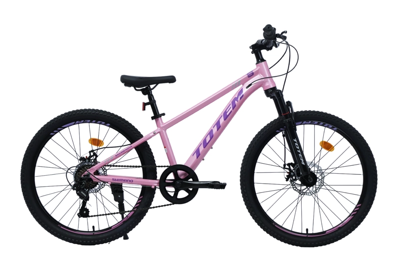 BICICLETA TOTEM MTB ARO 24 SAILING NOVA  COLOR ROSADO - 1
