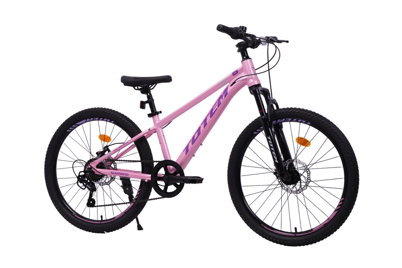 BICICLETA TOTEM MTB ARO 24 SAILING NOVA  COLOR ROSADO - 2