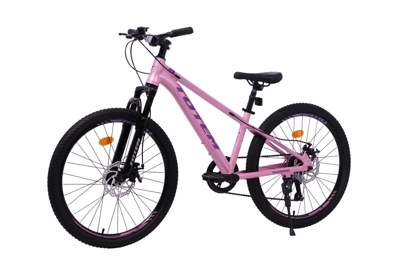 BICICLETA TOTEM MTB ARO 24 SAILING NOVA  COLOR ROSADO - 5