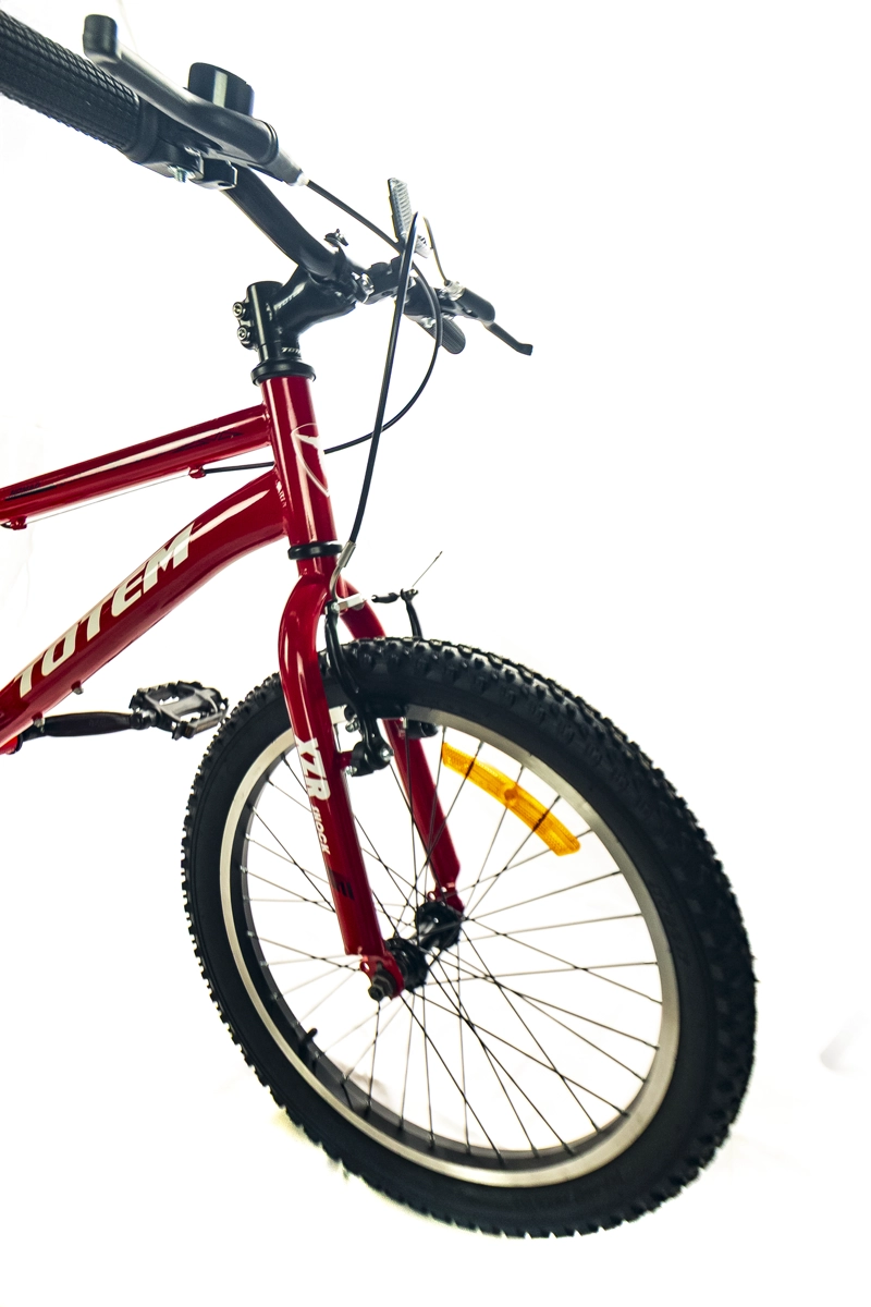 BICICLETA TOTEM MTB ARO 20 NOMAD COLOR ROJO - 2