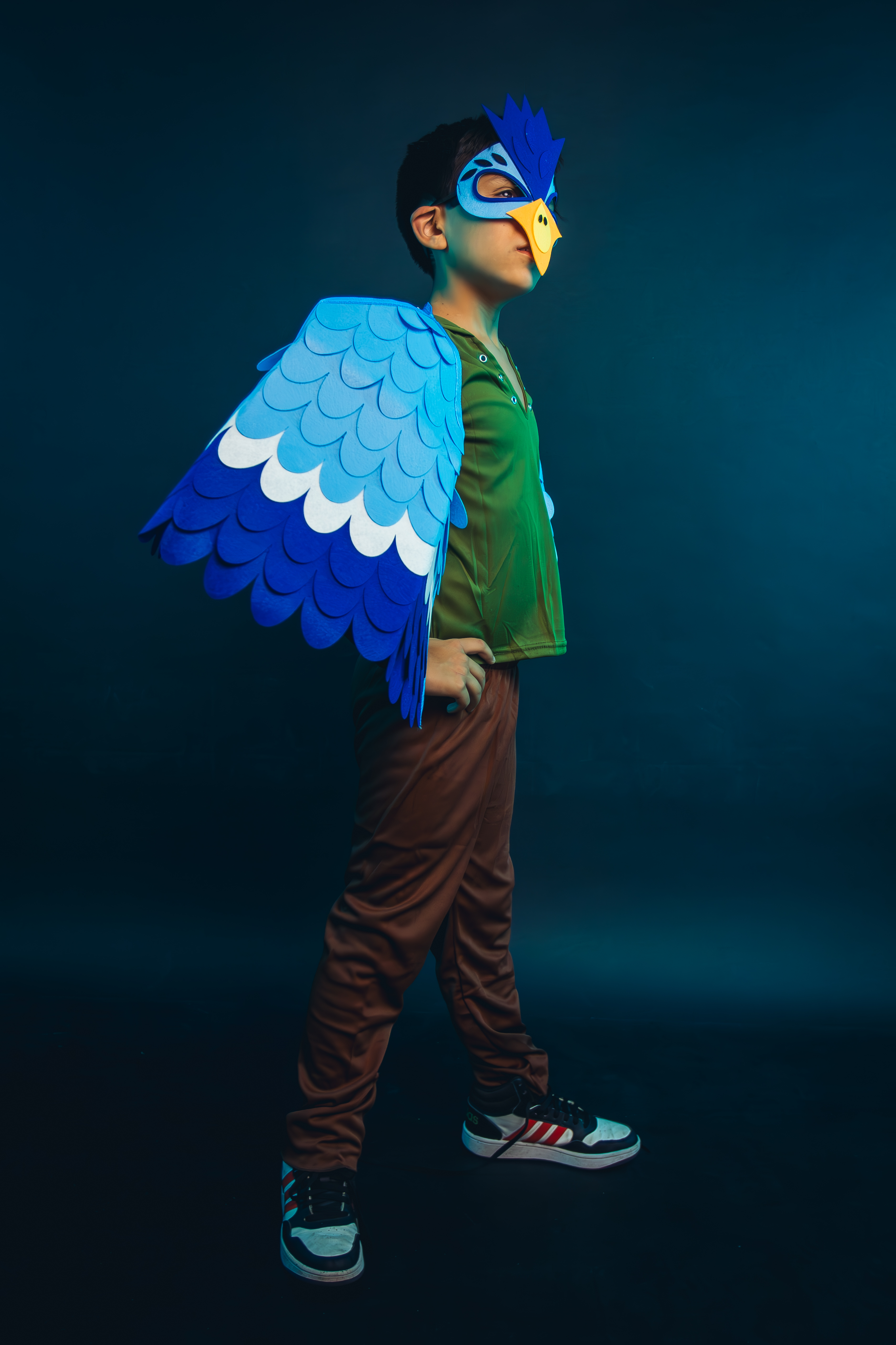 DISFRAZ INFANTIL COSPLAY PAJARO AVE AZUL NIÑOS JUEGOS ROL - 2