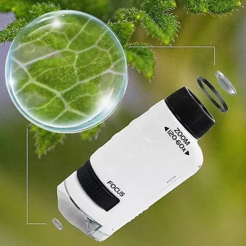 JUGUETE MICROSCOPIO CIENTIFICO LENTE 60-120X - 4