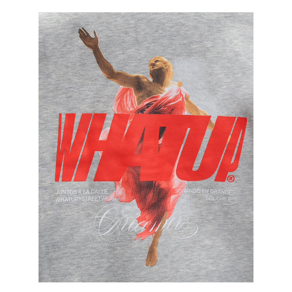 POLERON WHATUP HOMBRE HOODIE HOLY GREY - 3