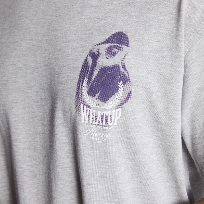 POLERA WHATUP MEN HOLY MARIE GREY - 5