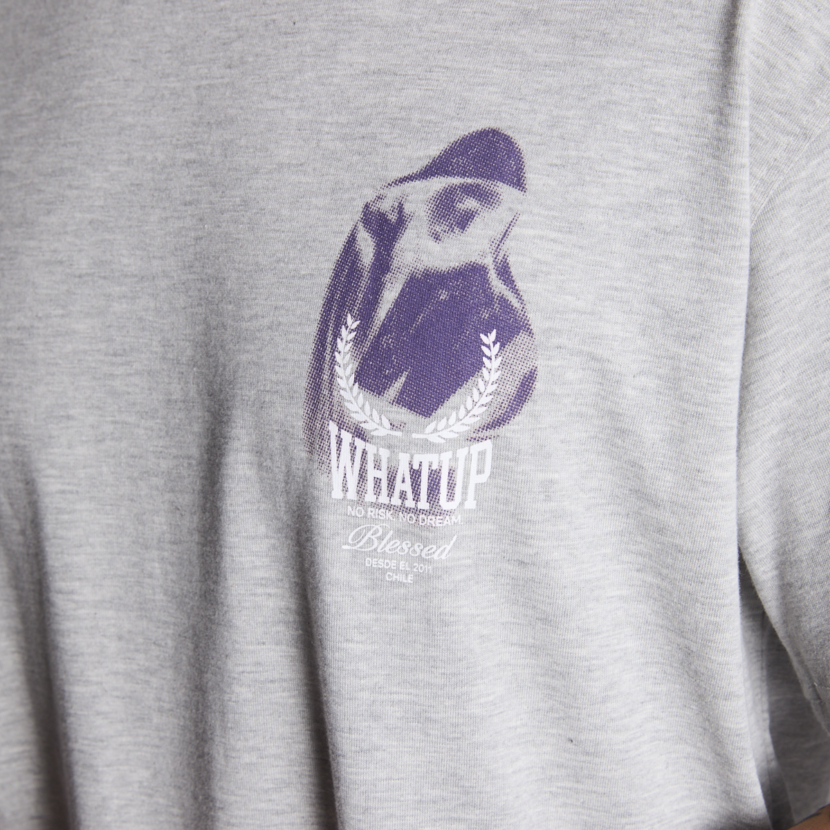 POLERA WHATUP MEN HOLY MARIE GREY - 5