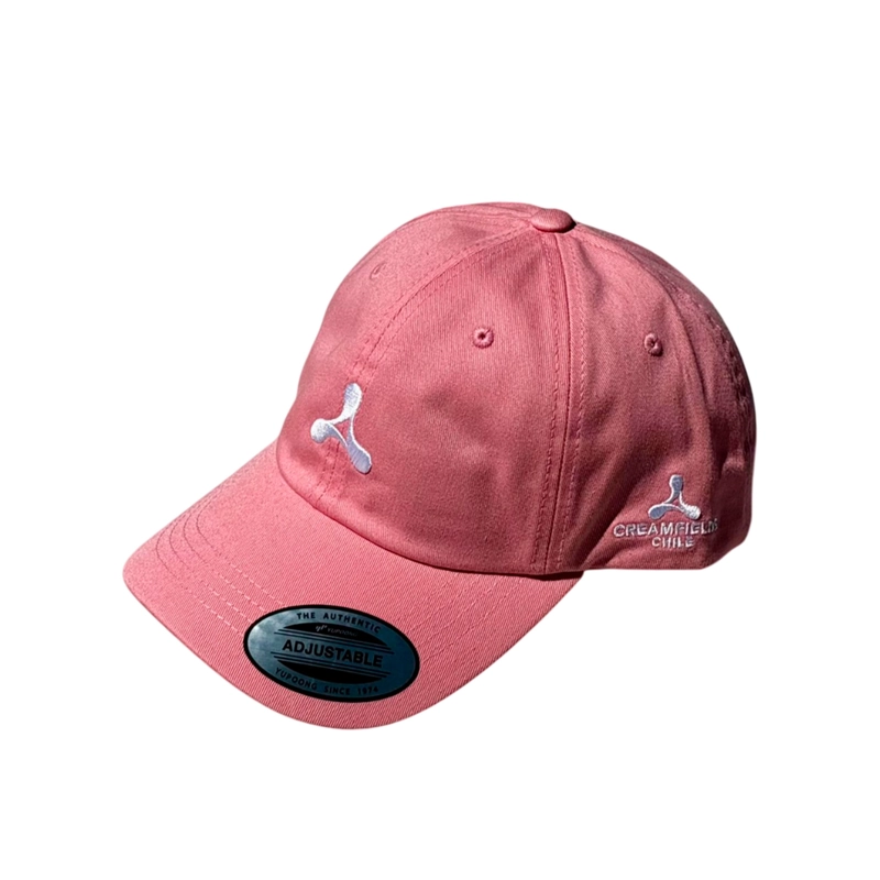 JOCKEY CREAMFIELD PINK FLEX FIT LOGO WHITE 20 AÑOS - 1
