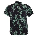 CAMISA KIDS BLACK PALM GREEN - 1
