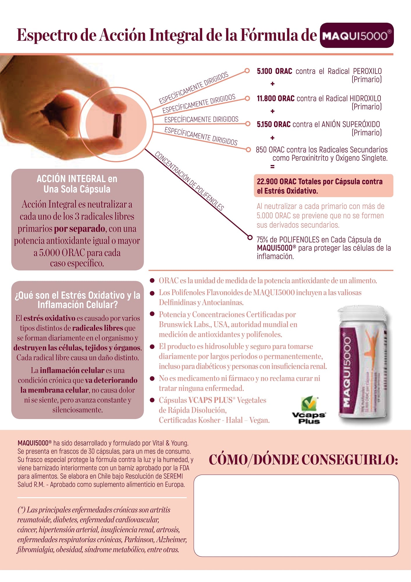 SUPLEMENTO ALIMENTICIO VITAL & YOUNG MAQUI5000 ANTIOXIDANTE NATURAL ALTA POTENCIA CAPSULAS DURAS - 3