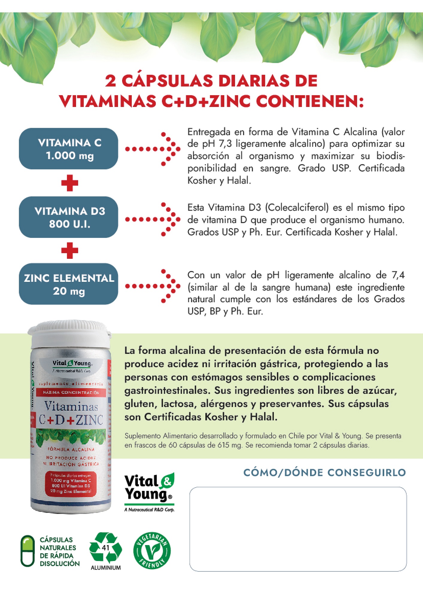 VITAMINA VITAL & YOUNG C CAPSULAS DURAS + D + ZINC - 3