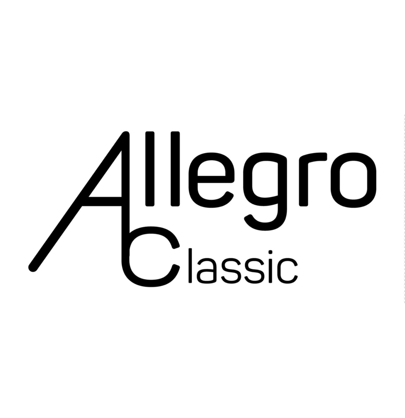 METALÓFONO ALLEGRO DIATÓNICO 15 TONOS ALL15A - 3