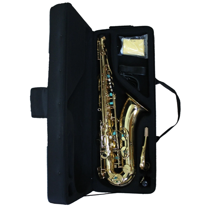 SAXOFON ALTO ALLEGRO DORADO ALL6430L - 2