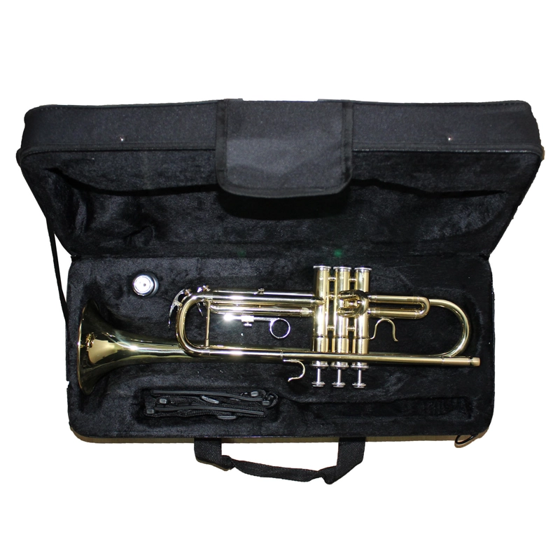 TROMPETA ALLEGRO GOLD ALL6416L - 3