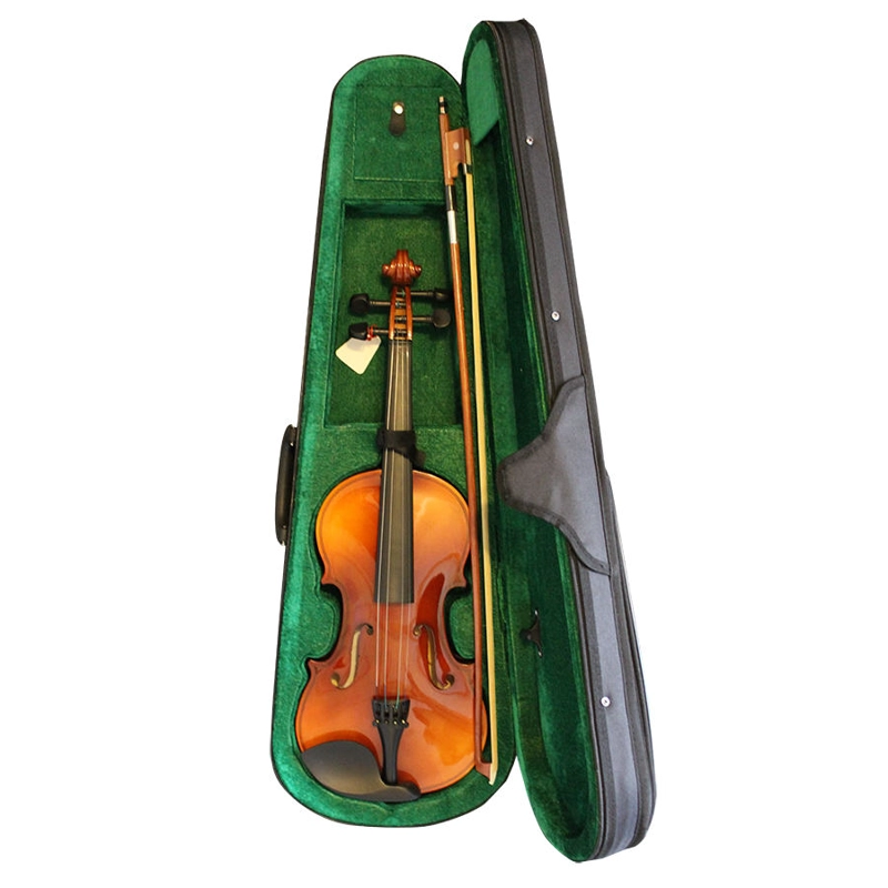 VIOLIN LIVORNO ANTIQUE SOLID 4/4 LIV-40 - 4