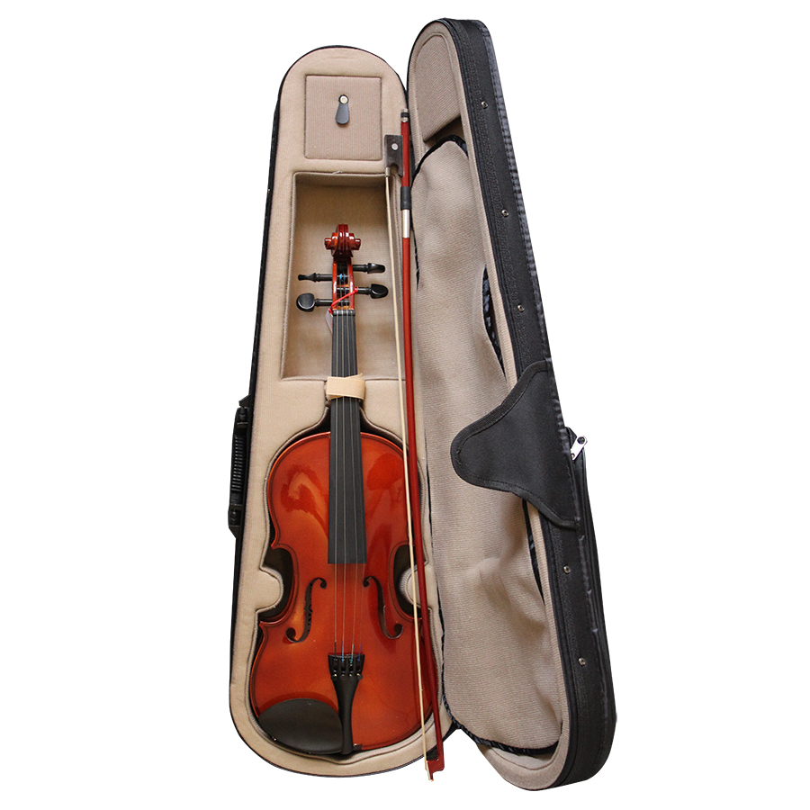 VIOLIN LIVORNO SOLID EBONY 4/4 LIV-50 - 3
