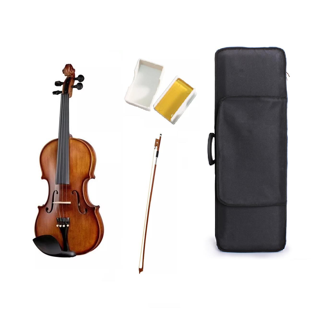 VIOLIN LIVORNO PROFESIONAL LIV-100-1 - 1