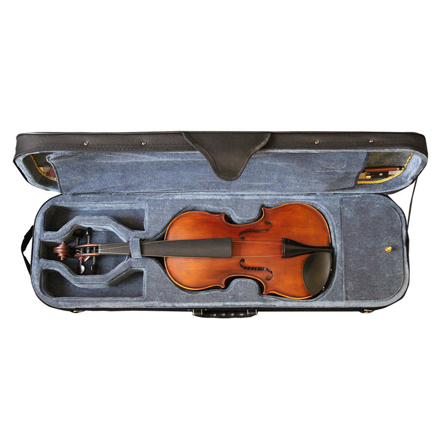 VIOLIN LIVORNO PROFESIONAL LIV-100-1 - 3