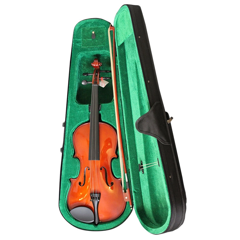 VIOLA LIVORNO 4/4 LIA-400W - 5