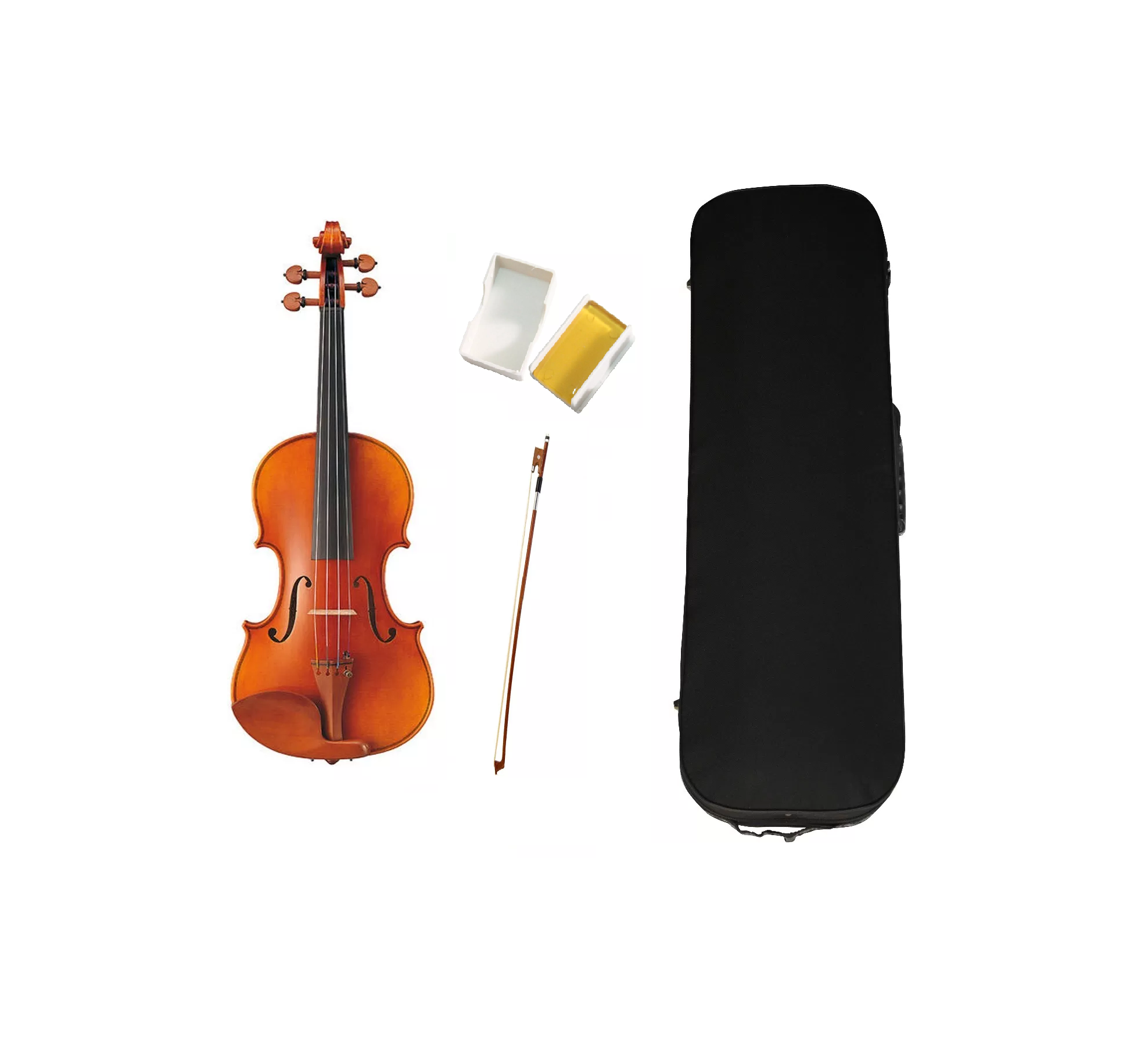 VIOLIN LIVORNO PROFESSIONAL MV100 4/4 - 1