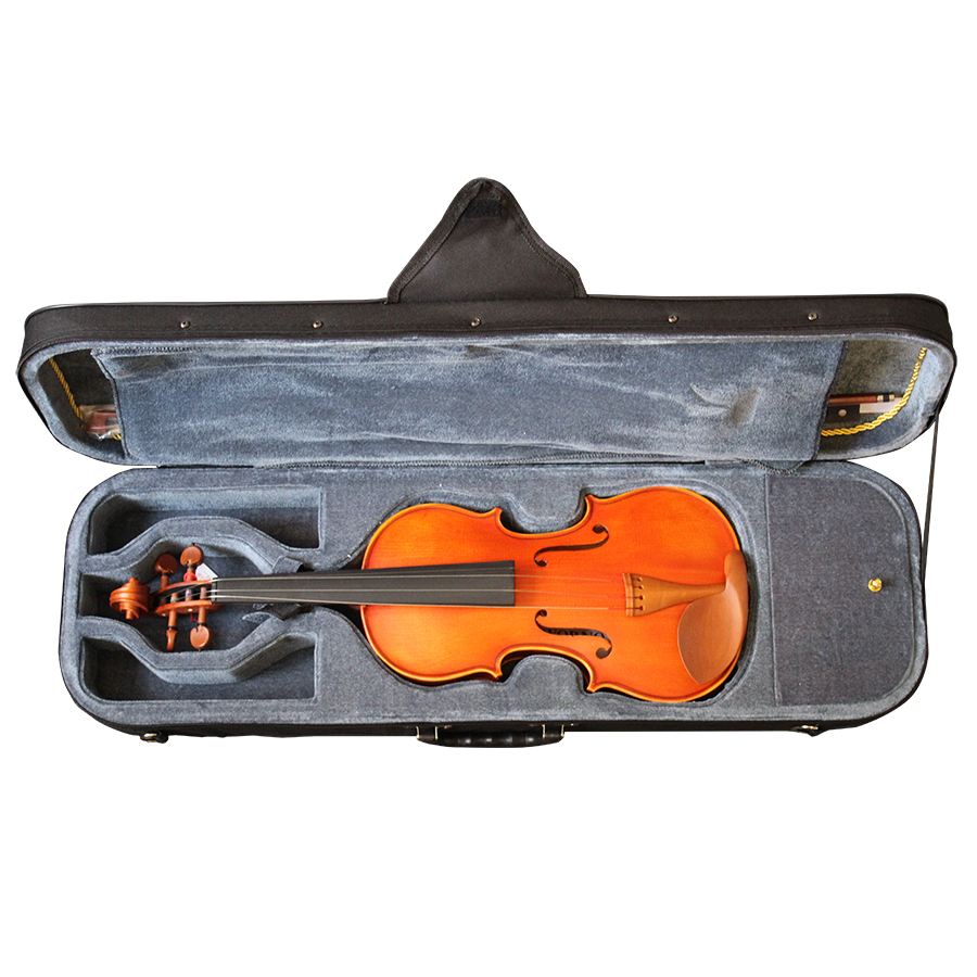 VIOLIN LIVORNO PROFESSIONAL MV100 4/4 - 3