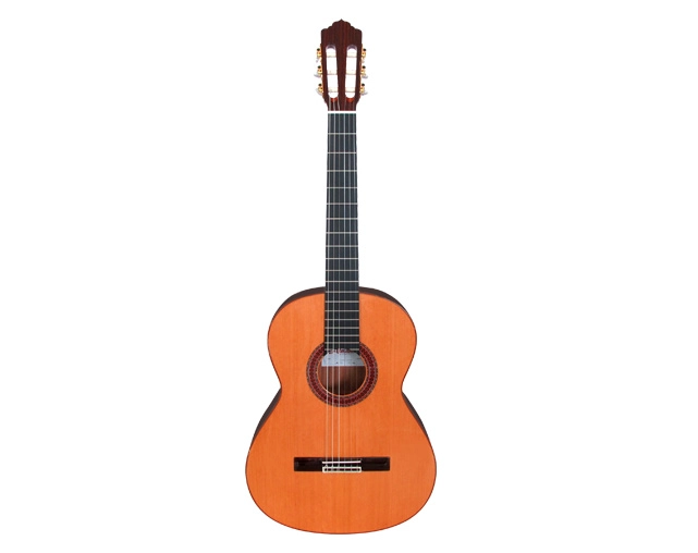 GUITARRA CLASICA ALMANSA CONSERVATORIO 434 - 1
