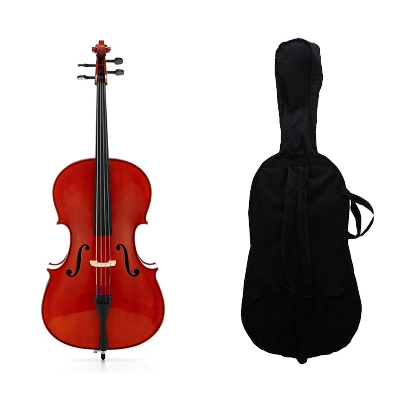 MC760L VIOLONCELLO LIVORNO 4/4 - 1