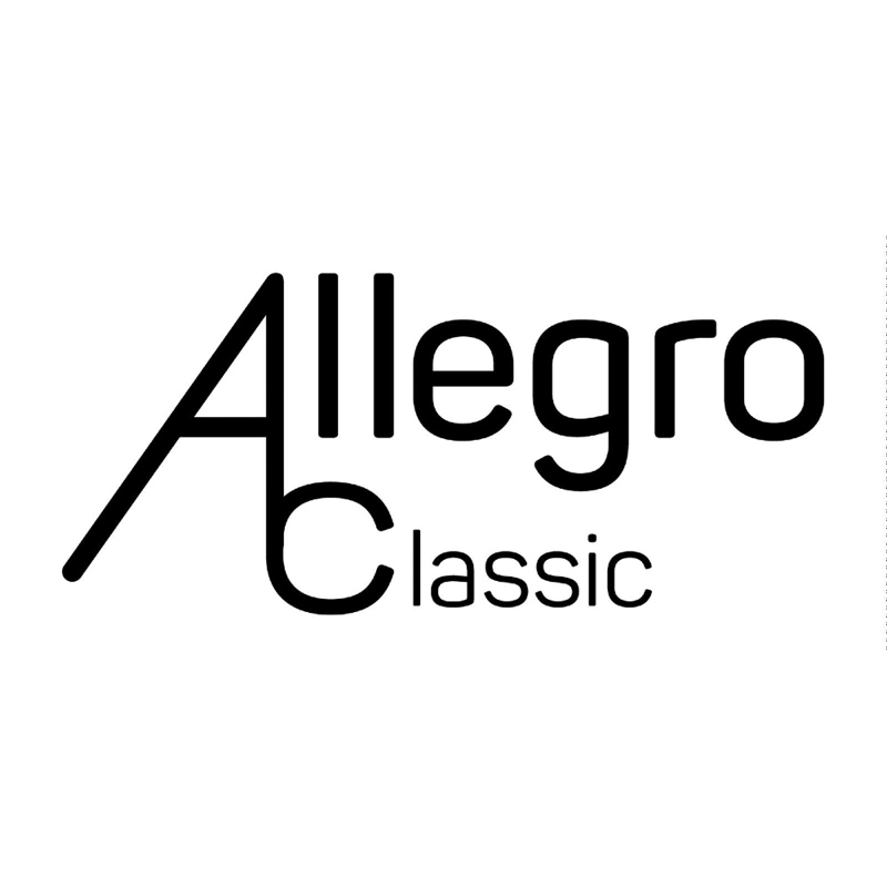 CORREA PARA GUITARRA O BAJO ALLEGRO BLACK ALL-CO-BK17 - 2