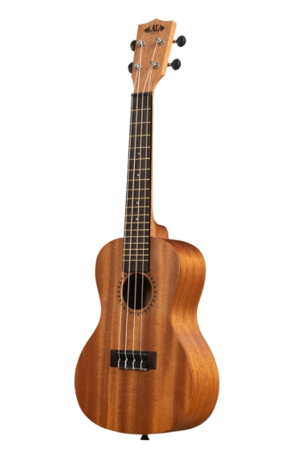 UKELELE KALA LEARN TO PLAY CONCIERTO STARTED PACK KALA LTP-C - 5