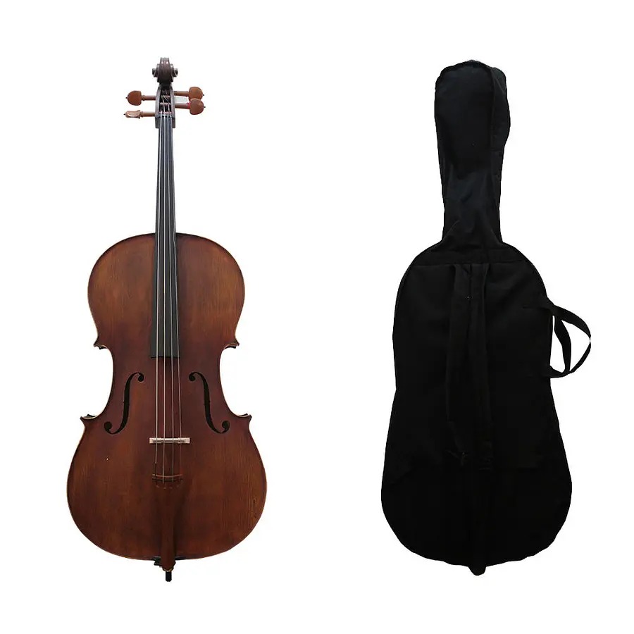 VIOLONCELLO LIVORNO 4/4 LIC761B - 1