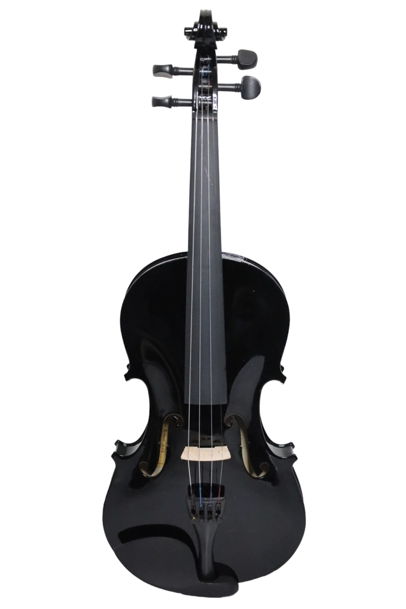 VIOLÍN LIVORNO COLOR NEGRO 4/4 LIV-20BK - 1
