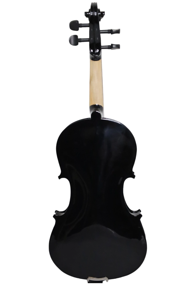 VIOLÍN LIVORNO COLOR NEGRO 4/4 LIV-20BK - 2