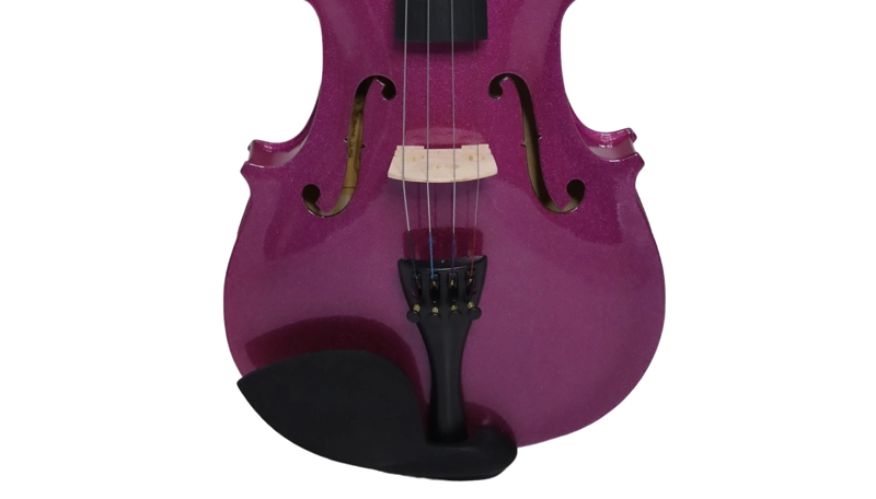 VIOLIN LIVORNO COLOR PURPURA 4/4 LIV-20PU - 3
