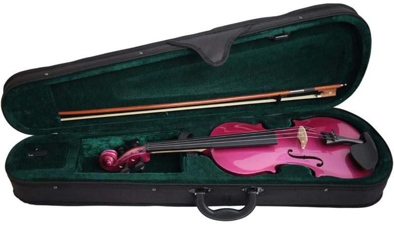 VIOLIN LIVORNO COLOR PURPURA 4/4 LIV-20PU - 4