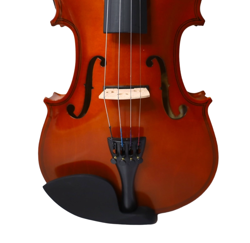 VIOLÍN LIVORNO ELECTROACÚSTICO 4/4 NEGRO LIV-E-35BK - 4