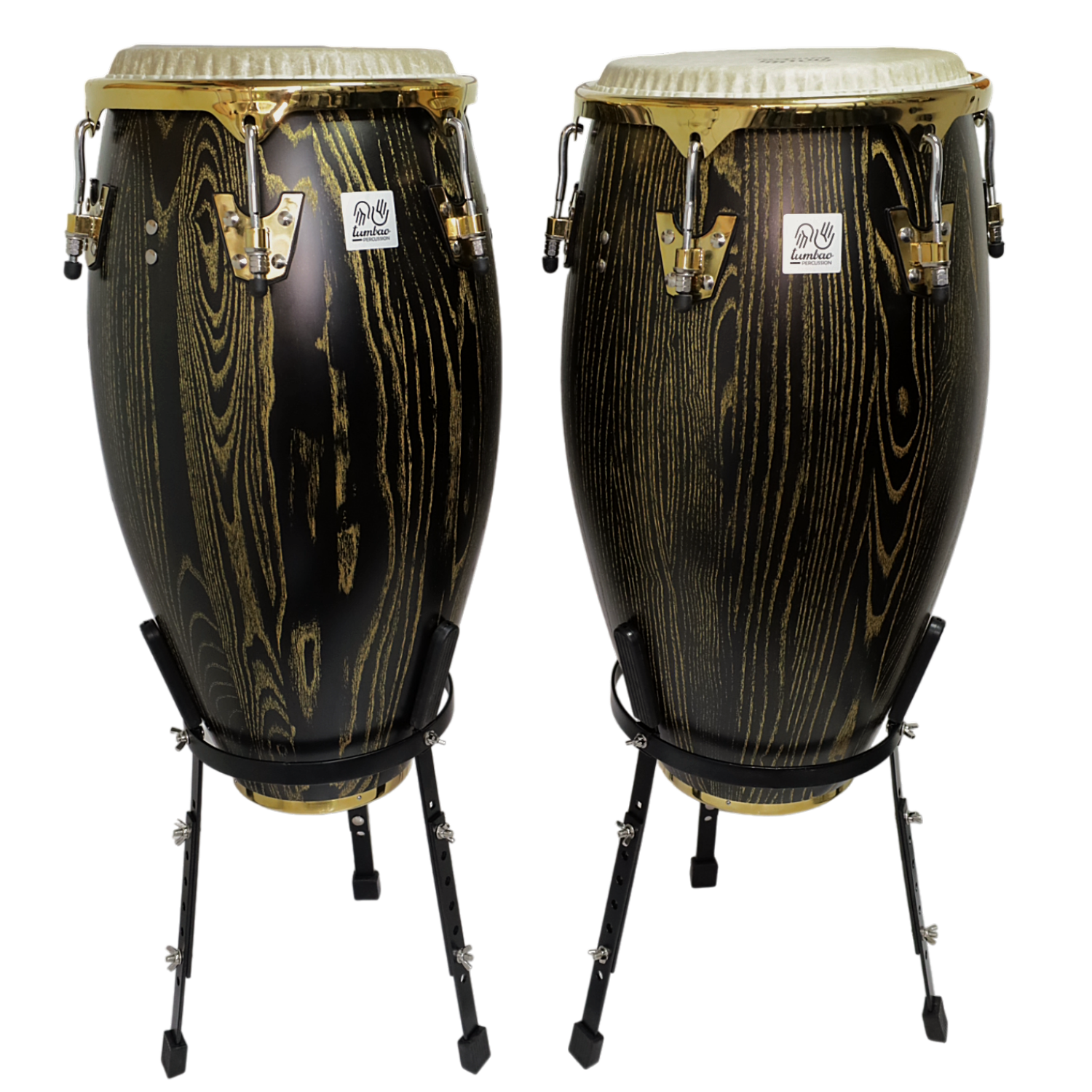 SET CONGA 11.75 & 12.5XH30'' E BANO + STAND - 1