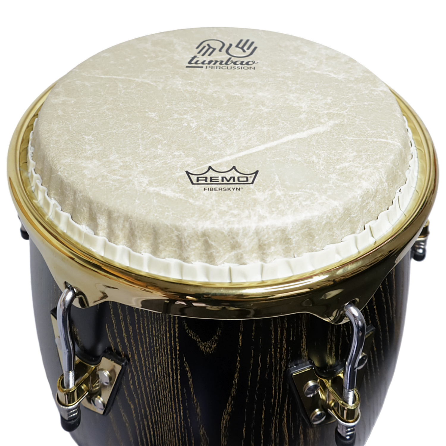 SET CONGA 11.75 & 12.5XH30'' E BANO + STAND - 2