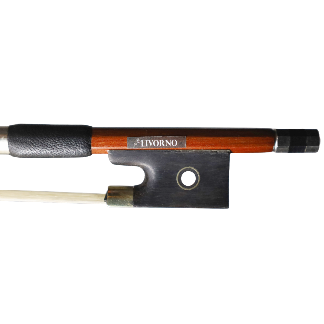 ARCO DE VIOLIN JUJUBE LIVORNO 4/4 LIAV-10 - 2