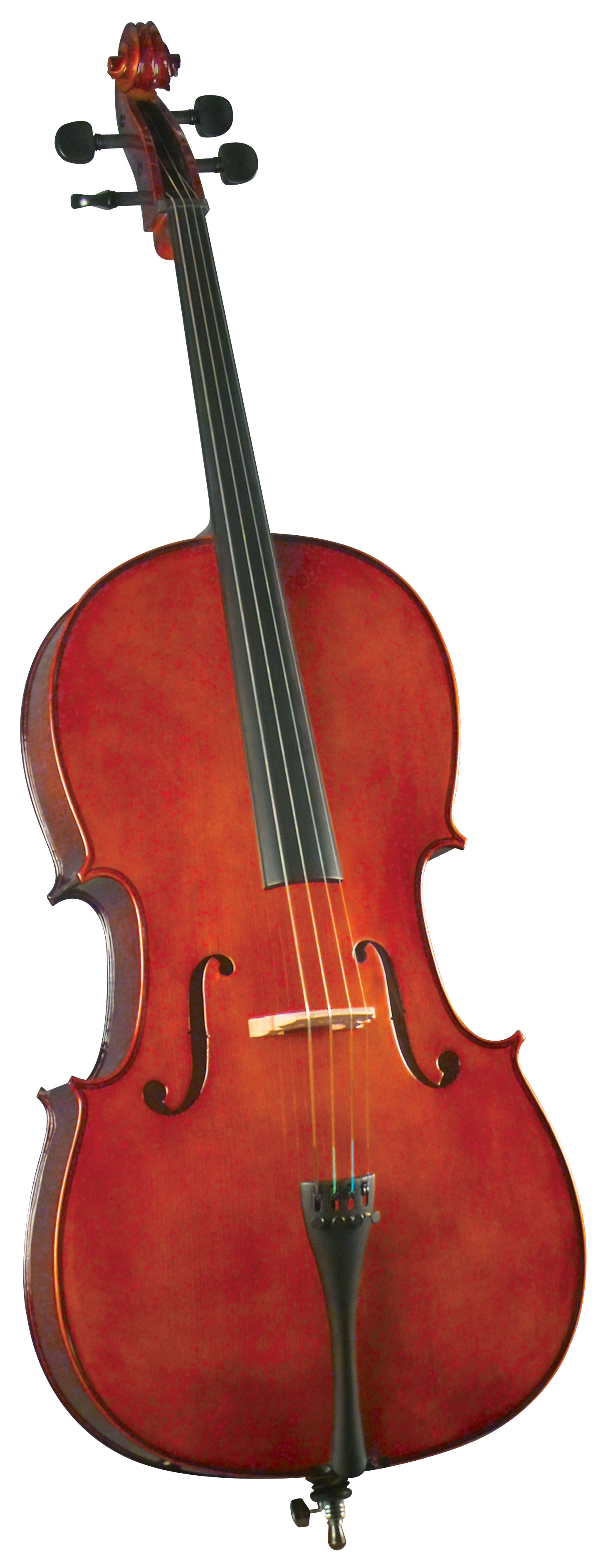 VIOLONCELLO CERVINI OUTFIT 1/2' HC-100 - 1