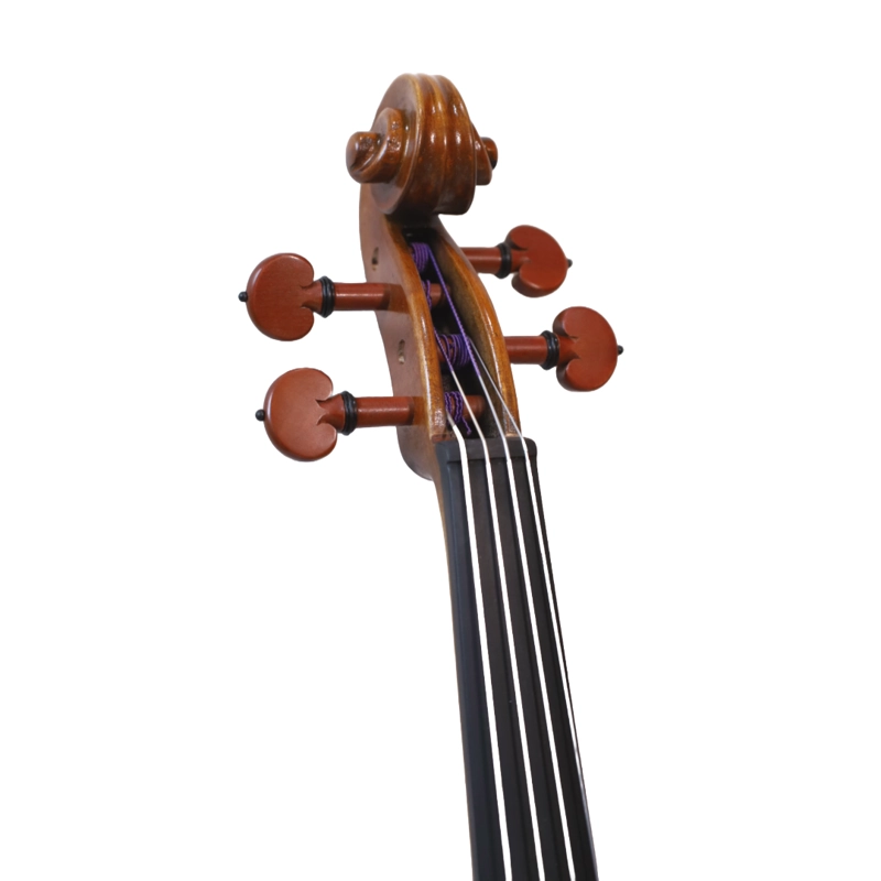 VIOLA CREMONA OUTFIT 16'' SVA-800 - 3