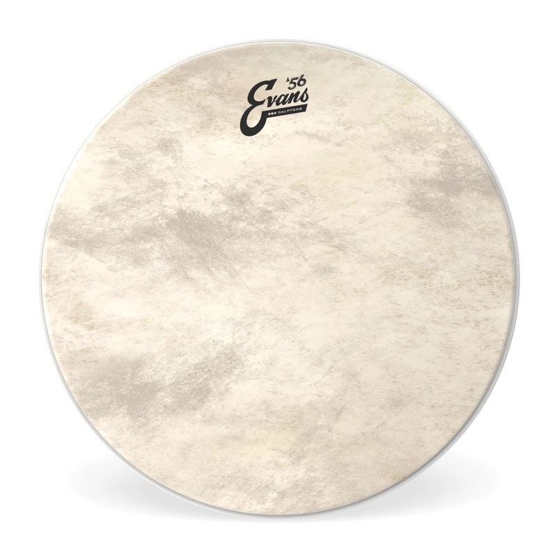 PARCHE 18¨EQ4 CALFTONE US BD18GB4CT EVANS - 1