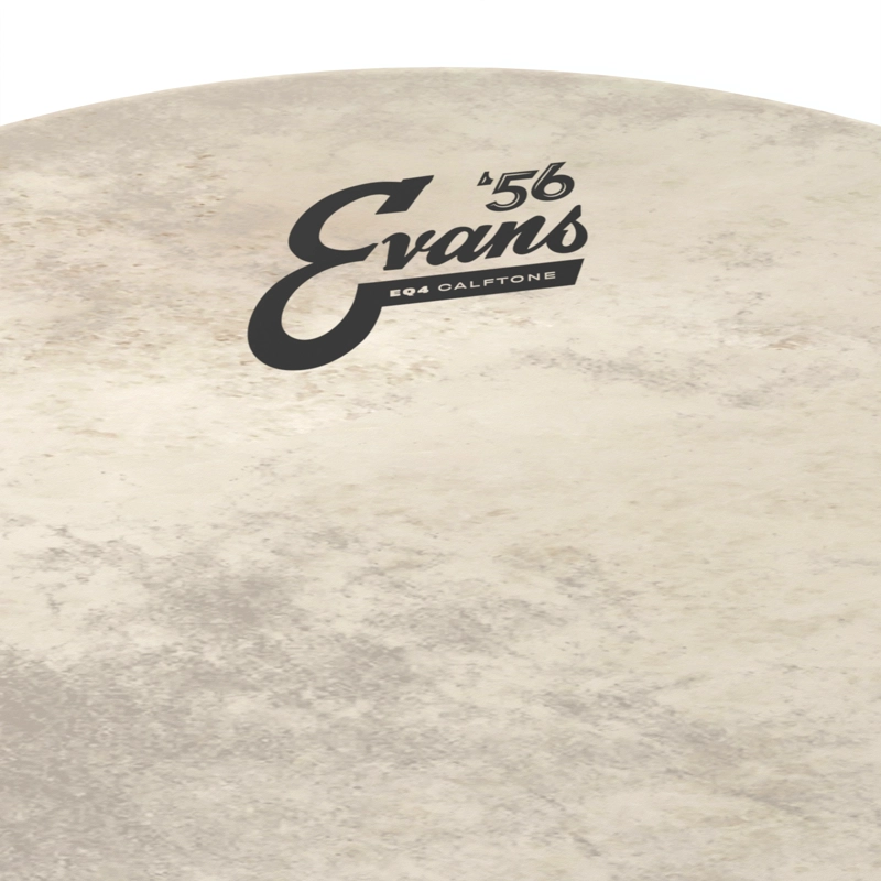 PARCHE 18¨EQ4 CALFTONE US BD18GB4CT EVANS - 2