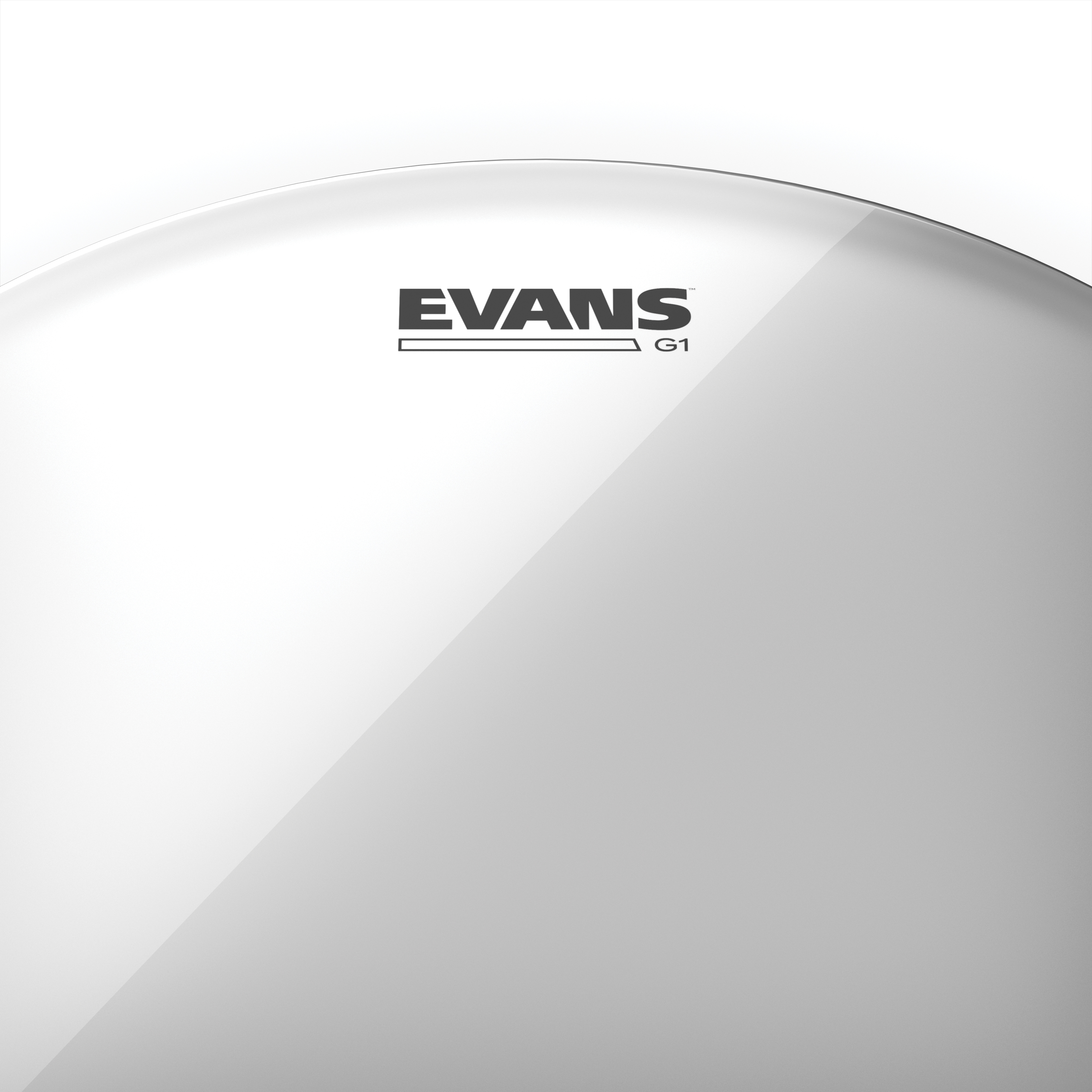 PARCHE EVANS TOM 16¨ G1 CLEAR - 2