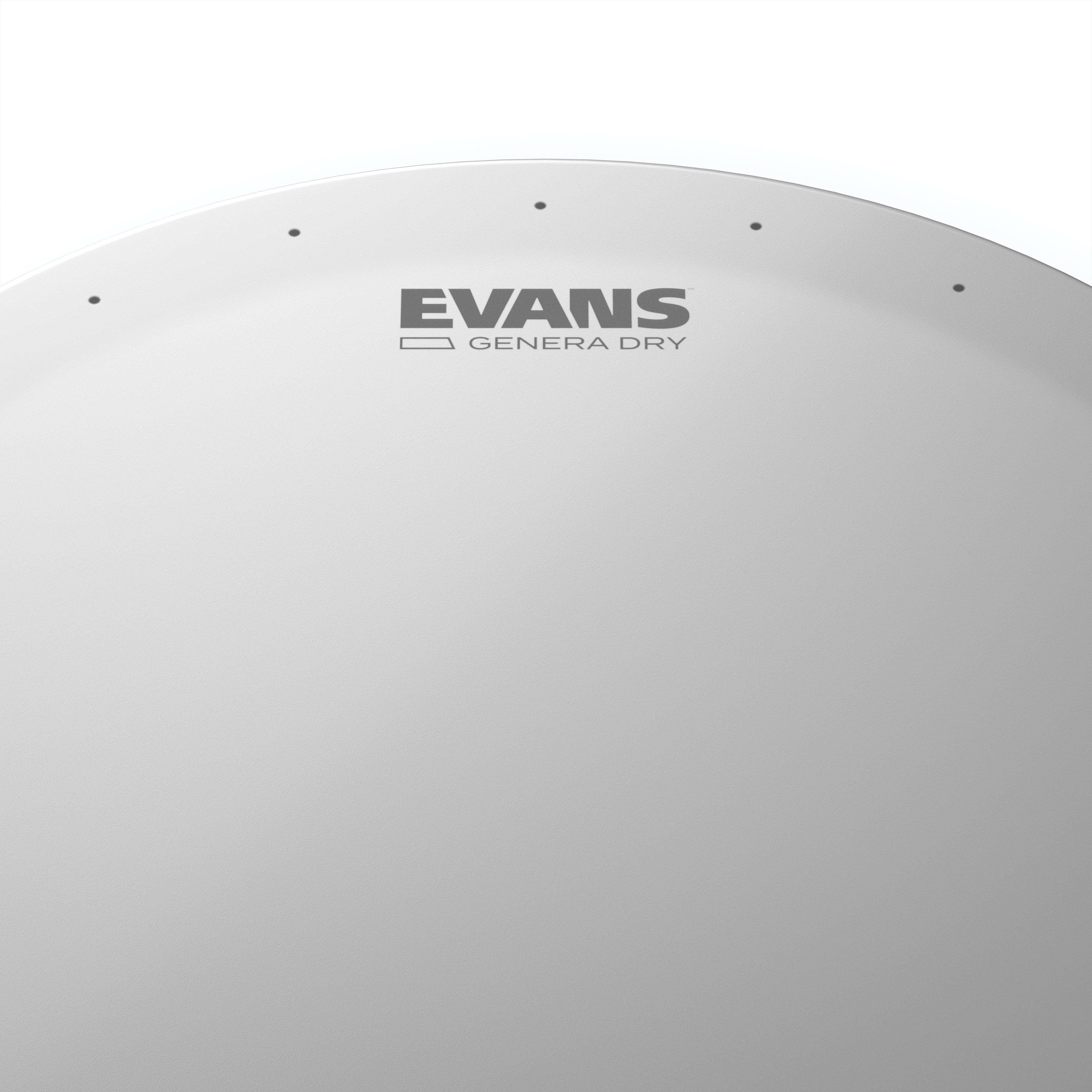 PARCHE EVANS 13¨ GEN DRY - 2