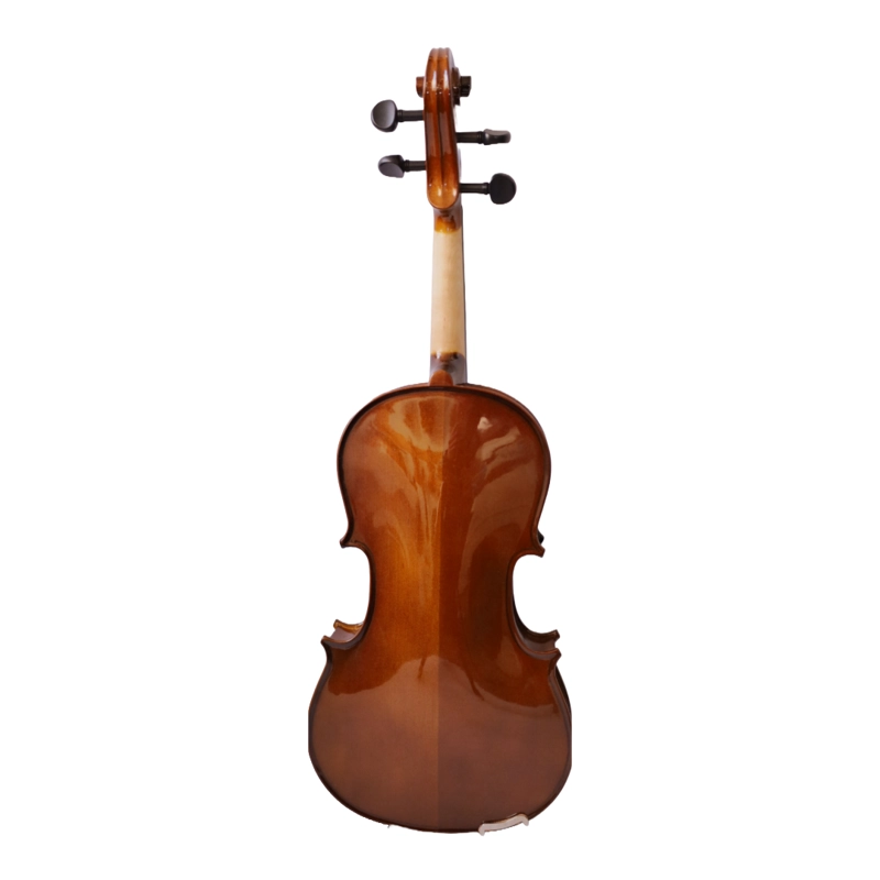 VIOLA CREMONA OUTFIT 14'' SVA-50 - 2