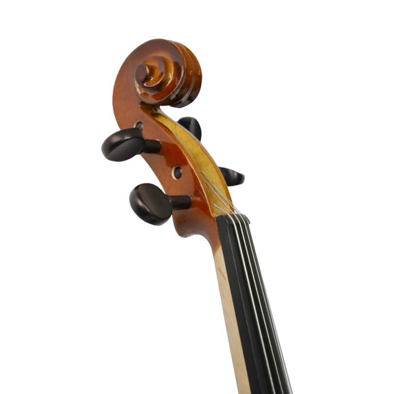 VIOLA CREMONA OUTFIT 16'' SVA-50 - 3