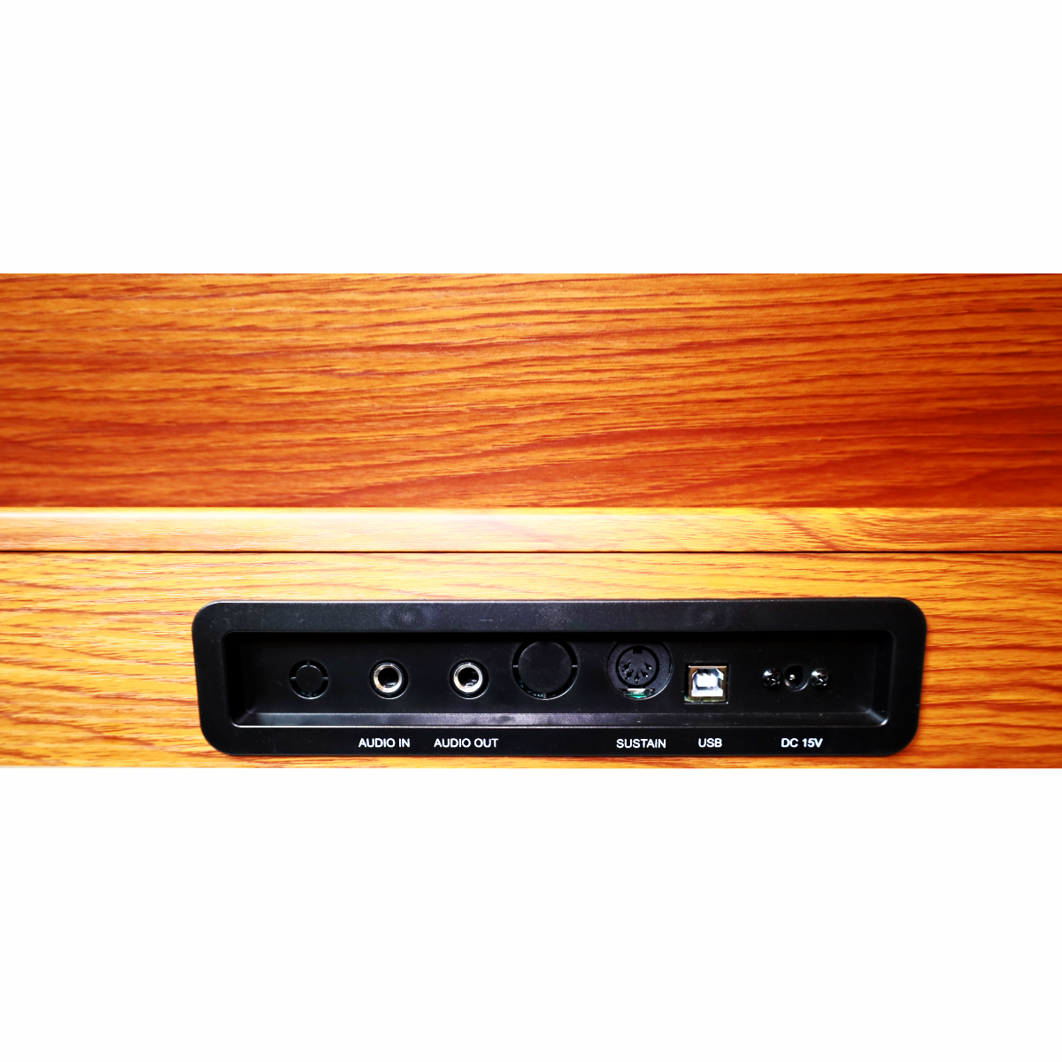 PIANO ZIMMER DIGITAL ZIM-500 NAT - 5