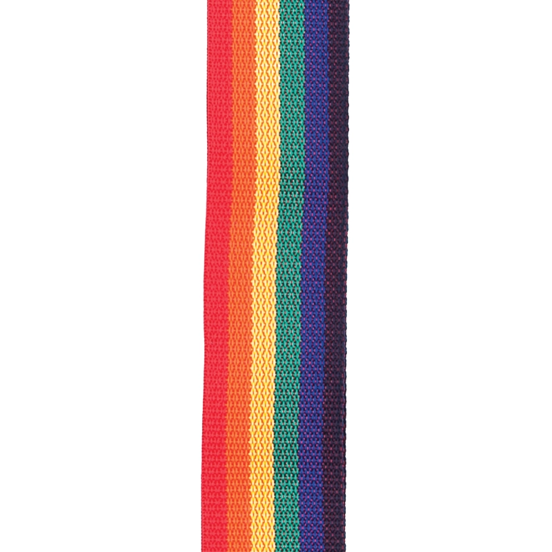CORREA DADDARIO POLYPRO RAINBOW 50MM PWS111 - 2