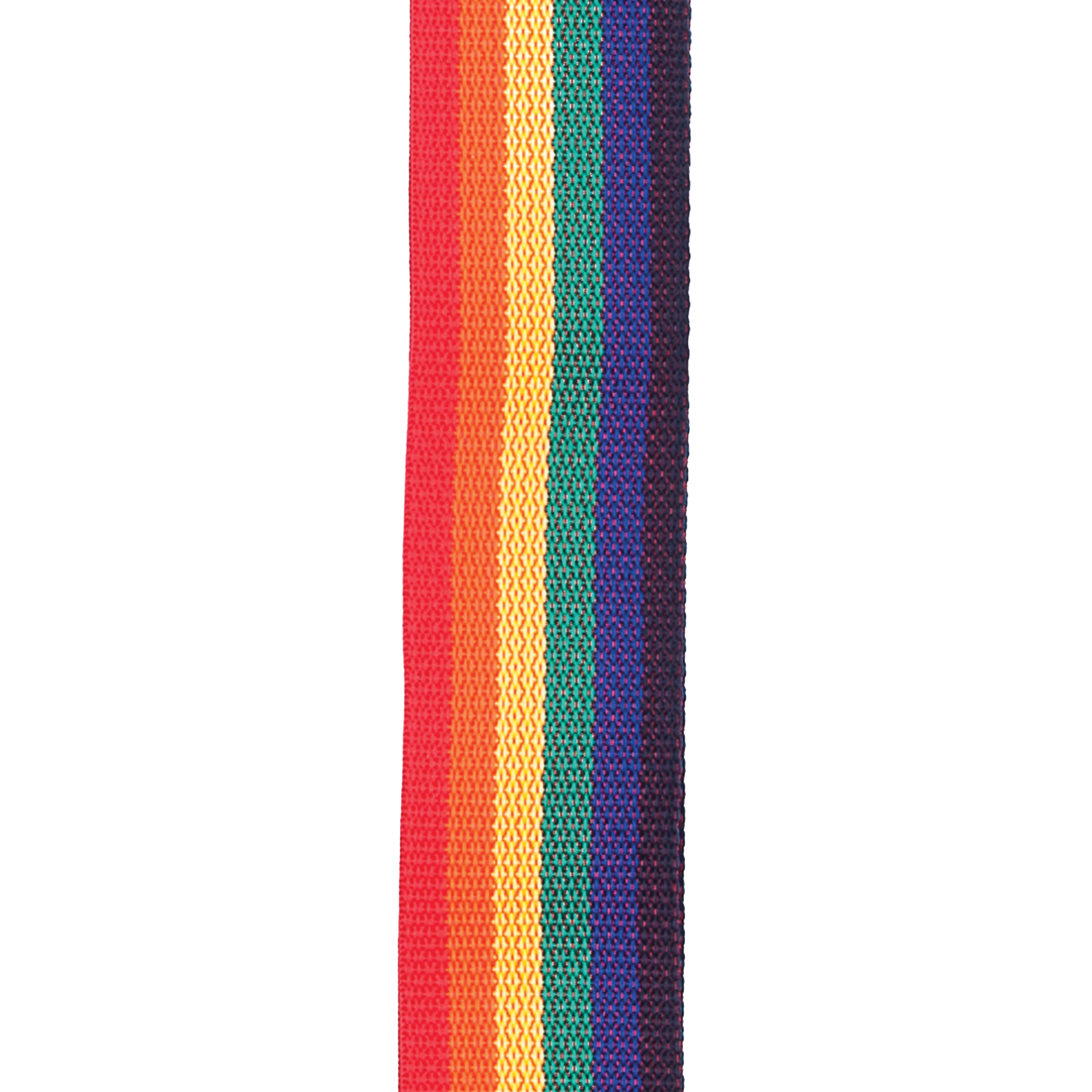 CORREA DADDARIO POLYPRO RAINBOW 50MM PWS111 - 2